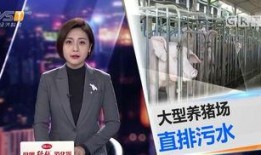 今日一线爆料有哪些,揭秘娱乐圈最新动态